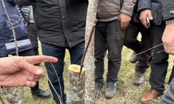 Ardahan'da meyvecilik geliştirilecek