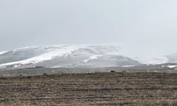 Ardahan'ın yüksek kesimlerinde kar etkili oldu