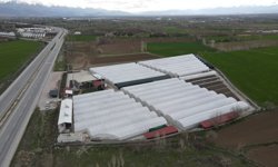 Arkadaş tavsiyesiyle sebze fidesi üretmeye başlayan çiftçi bölgenin tedarikçisi oldu