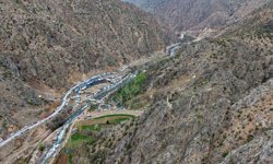 Artvin'de 'Yusufeli Sarıgöl 31. Geleneksel Boğa Güreşleri Festivali' yapıldı