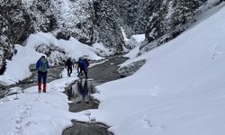 Baharda kar yağışının beyaza bürüdüğü Ilgaz doğaseverlerden ilgi görüyor