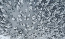 Baharda kışı yaşayan Ilgaz Dağı'nda beyaza bürünen ormanlar dronla görüntülendi