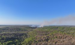 Beykoz'da ormanlık alanda çıkan yangına müdahale ediliyor