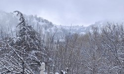 Beypazarı'nın yüksek kesimlerinde nisan karı etkili oldu