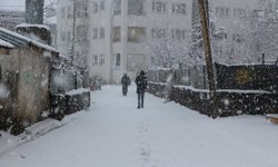 Bingöl'ün Karlıova ilçesinde kar yağışı etkili oldu