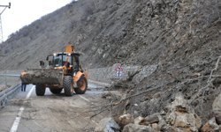 Bitlis'te heyelan nedeniyle kapanan yol ekiplerce açıldı