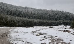 Bolu ve Karabük'ün yüksek kesimlerine ilkbaharın ortasında kar yağdı