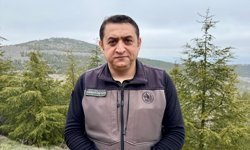 Bozkırın toprakları dikilen fidanlarla yeşeriyor