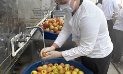 Bursa'da 135 yıllık tarım lisesinde yetiştirilen ürünler tüketiciye ulaşıyor