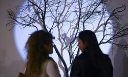 'Can Kaybı Yok' sergisi CerModern'de açıldı