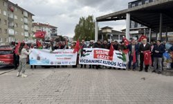 Çankırı ve Kastamonu'da Filistin'e destek programları düzenlendi