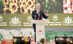 Çatalca'da 'Çeltik-Ayçiçeği-Silajlık Mısır Tohum Temini Töreni' yapıldı