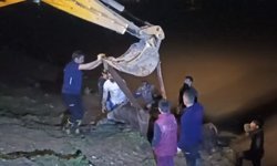 Cizre'de nehre düşen inek iş makinesiyle kurtarıldı
