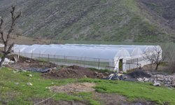 Devlet desteğiyle kurduğu sera sayesinde 7 kişilik ailesine bakıyor