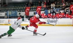 Dünya Erkekler Buz Hokeyi Şampiyonası