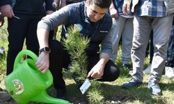 Düzce'de MHP Genel Başkanı Bahçeli adına hatıra ormanı oluşturuldu