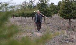 Erdoğan amca diktiği 12 bin fidanla bozkırı yeşille buluşturdu