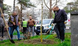 Erzincan'da okul saldırısında hayatını kaybedenler anısına 'masumiyet çınarı' dikildi