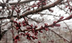 Erzincan'ın yüksek kesimlerine kar yağdı