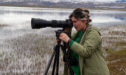 Erzurum'da sulak alanda kuş gözlem etkinliği yapıldı