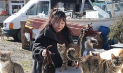 'Evladım' dediği kedileri 10 yıldır besleyip sahiplendiriyor