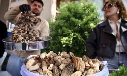 Fethiye'de 15. Dastar ve Kuzugöbeği Mantar Festivali başladı