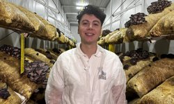 Genç avukat kurduğu mantar tesisiyle üretime katkı sağlıyor