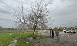 GÜNCELLEME - Diyarbakır'da ağaca yıldırım isabet etmesi sonucu 2 çocuk öldü, bir çocuk ağır yaralandı