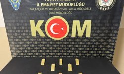 Hatay'da sırt çantasında 8 kilogram gümrük kaçağı altın ele geçirilen zanlı tutuklandı