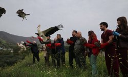 Hatay'da tedavileri tamamlanan kuşlar doğaya salındı