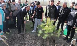 Iğdır Valisi Taşolar, kendisine CİMER'den ulaşan öğrenciyle fidan dikti