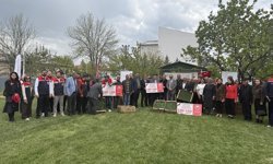 Iğdırlı çiftçilere 350 bin fide dağıtıldı