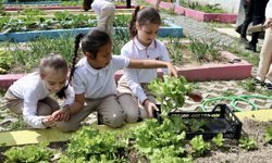 İlkokul öğrencileri ekosistemi ve yaşam becerilerini deneyimleyerek hayata hazırlanıyor