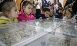 Isparta'da 30 bin örnekli böcek koleksiyonu bilimsel çalışmalara katkı sağlıyor