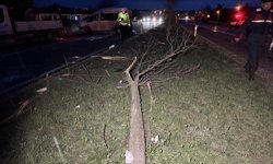 Kastamonu'da minibüs ile otomobilin çarpıştığı kazada 7 kişi yaralandı