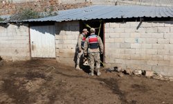 Kilis'te ağılın çökmesi sonucu 40 küçükbaş telef oldu