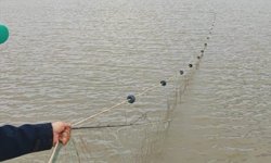 Kırklareli'nde yasak olmasına rağmen baraj gölüne serilen ağ ekiplerce toplandı