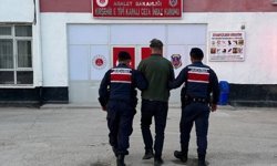 Kırşehir'de sahipsiz köpeği tüfekle öldüren zanlı tutuklandı