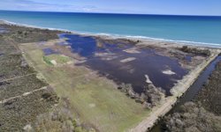 Kız kuşlarının Kızılırmak Deltası'nda üreyebilmesi için keskin uçlu sazlar temizlendi