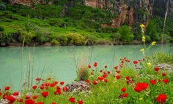 Kızılin Kanyonu baharın renklerine büründü