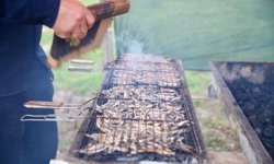 Kocaeli'de festivalde 5 ton hamsi dağıtıldı