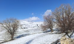 Malatya'da kar etkili oldu