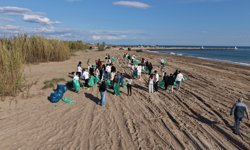 Manavgat'ta caretta carettalar için kıyı temizliği yapıldı
