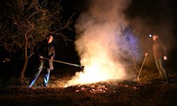 Manisa'da çiftçilerin zirai don mesaisi