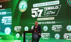 Öz Orman-İş Genel Başkanı Aslan'dan orman yangınlarına müdahale eden işçi sayısının artırılması talebi: