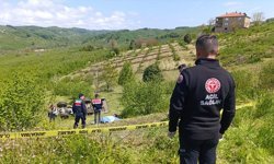 Sakarya'da devrilen traktörün sürücüsü yaşamını yitirdi