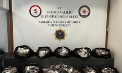 Samsun'da 44 bin 800 uyuşturucu hap ele geçirildi