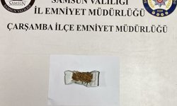 Samsun'da uyuşturucu operasyonlarında 4 zanlı yakalandı