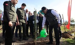 Siirt'te 1000 fidan toprakla buluşturuldu