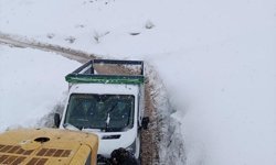 Siirt'te karda mahsur kalan 8 araç kurtarıldı